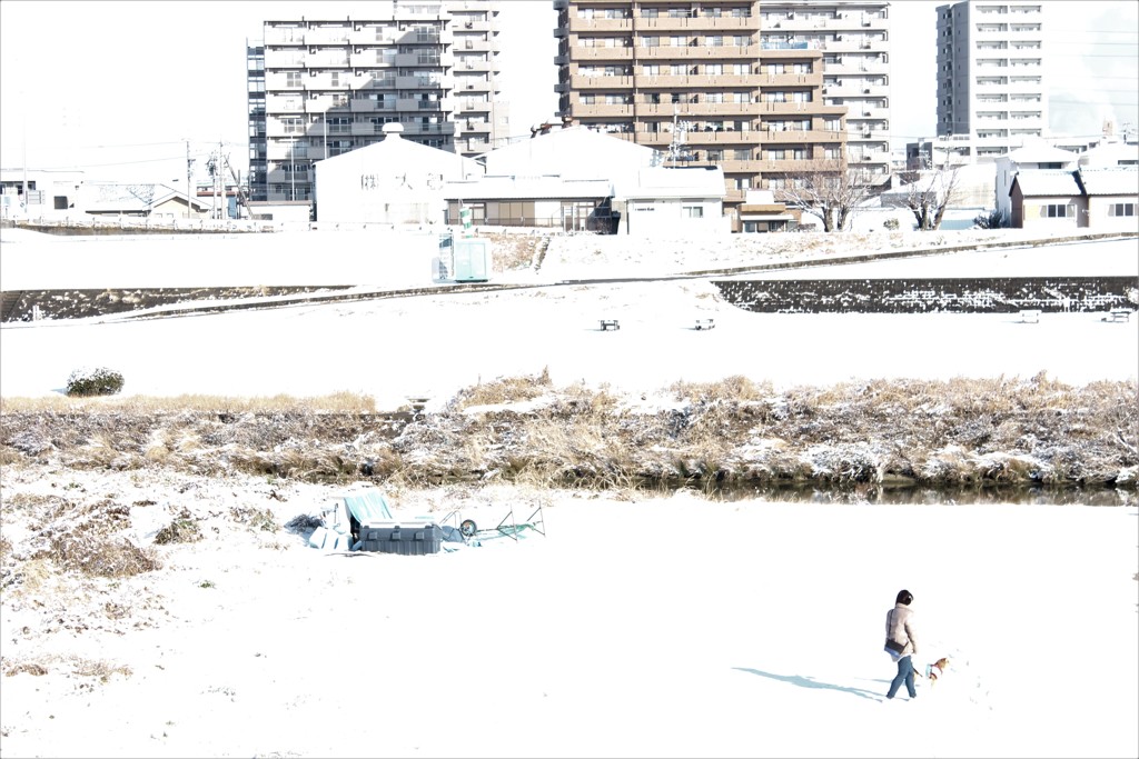 雪の白さに