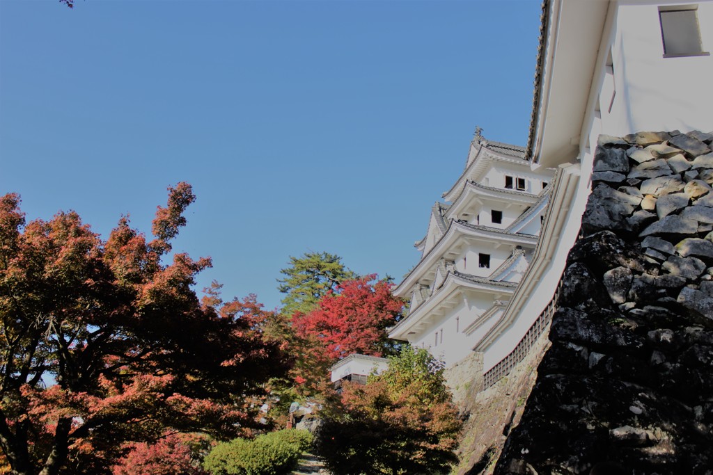 郡上八幡城