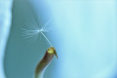 不思議な世界の入り口かな～