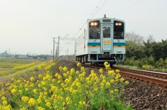 菜の花鉄道　２