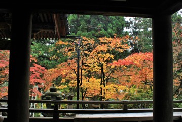 華厳寺 紅葉