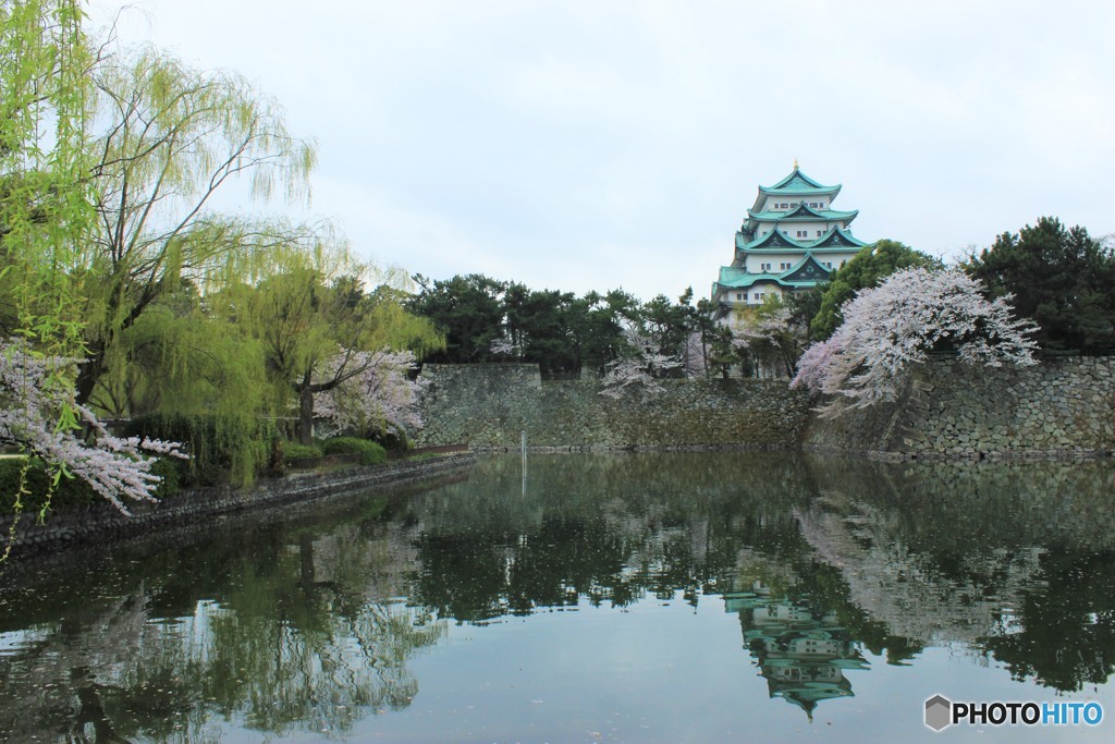 名古屋城　春