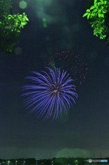 三好池４