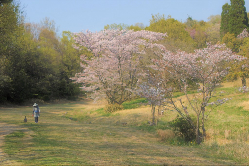 里山　夢の中