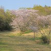 里山　夢の中