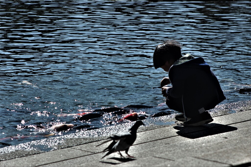 公園の少年