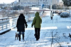 雪の散歩道