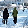 雪の散歩道