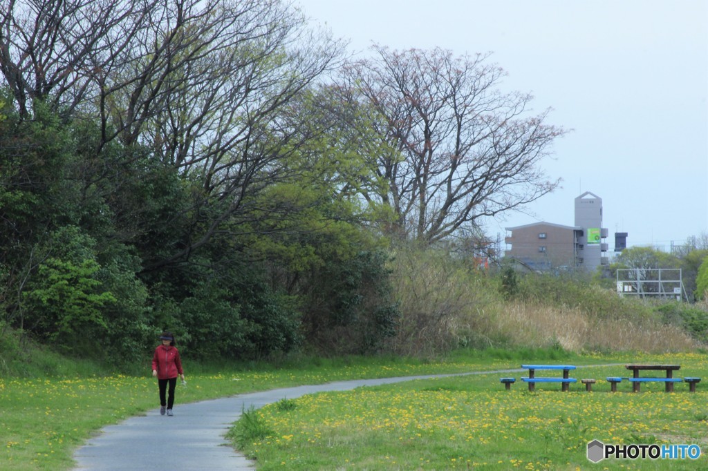矢田川風景２1