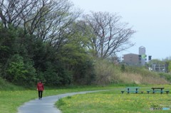 矢田川風景２1