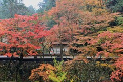 秋　横蔵寺　２