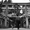 針鋼神社