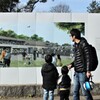 看板