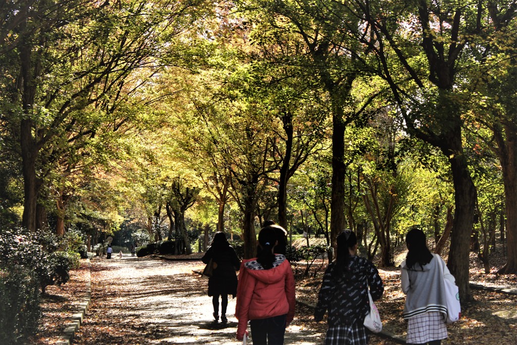 紅葉散歩道