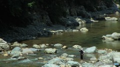 清流釣り