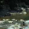 清流釣り