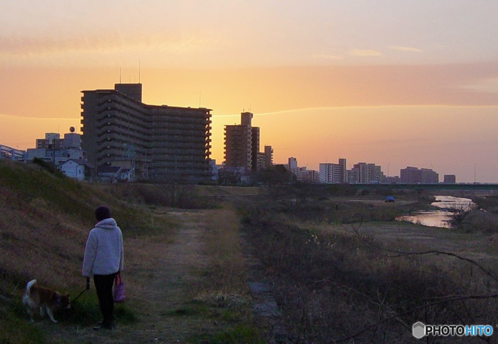 矢田川風景１　 