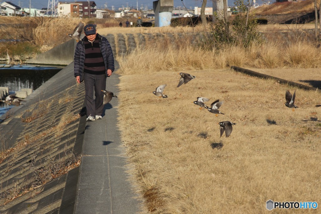 矢田川風景10