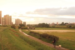 雨上がりの夕暮れ時