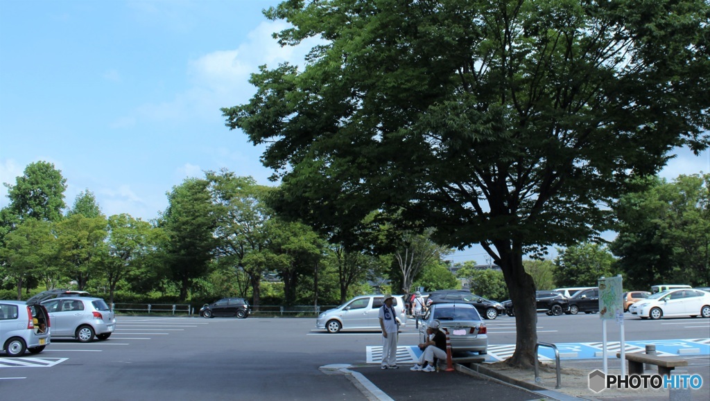 木影求めて