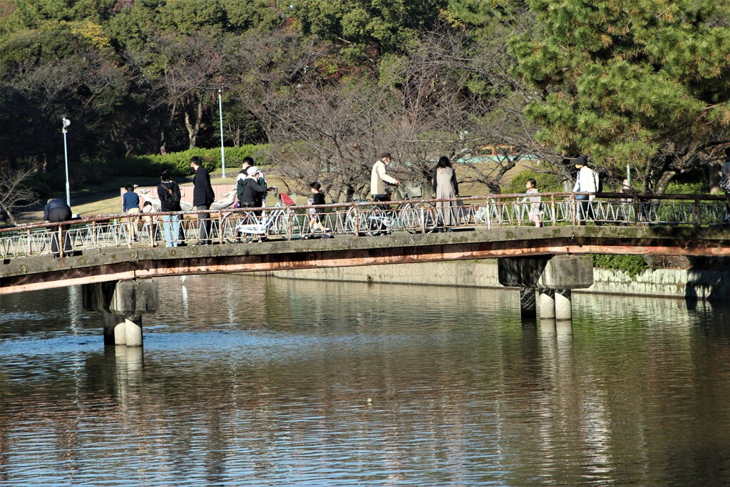 公園の秋