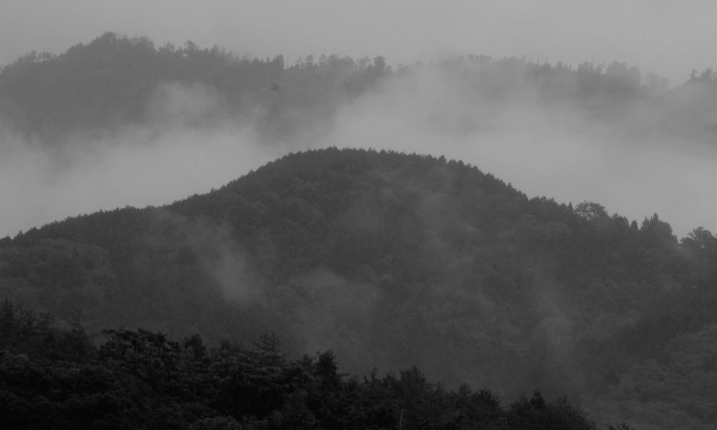 霧 　＃２