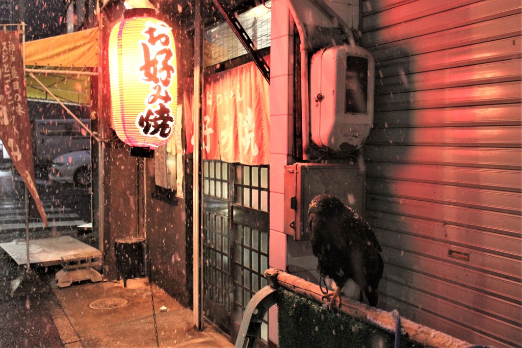 外は白い雪の夜