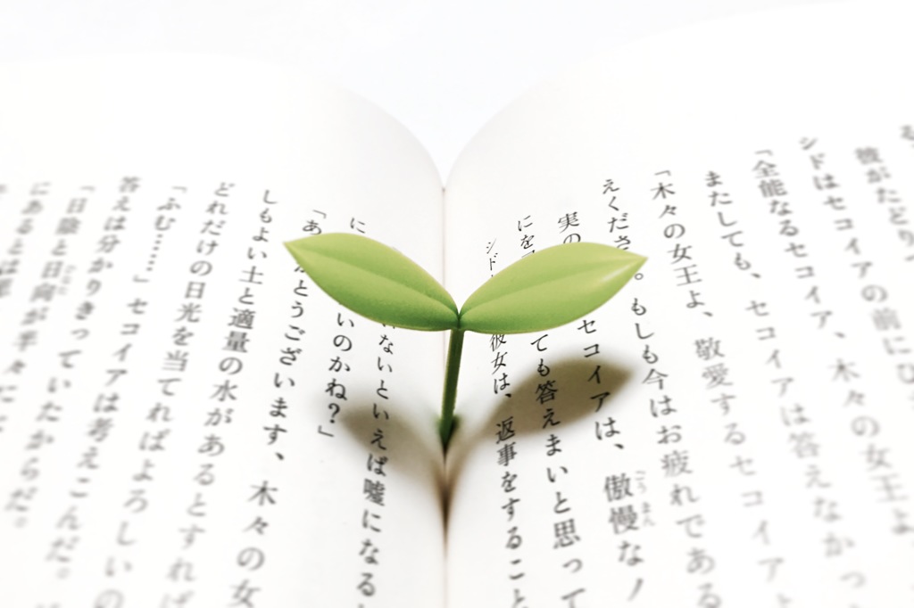 物語の芽