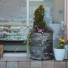 待ち猫