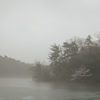 霞みの春
