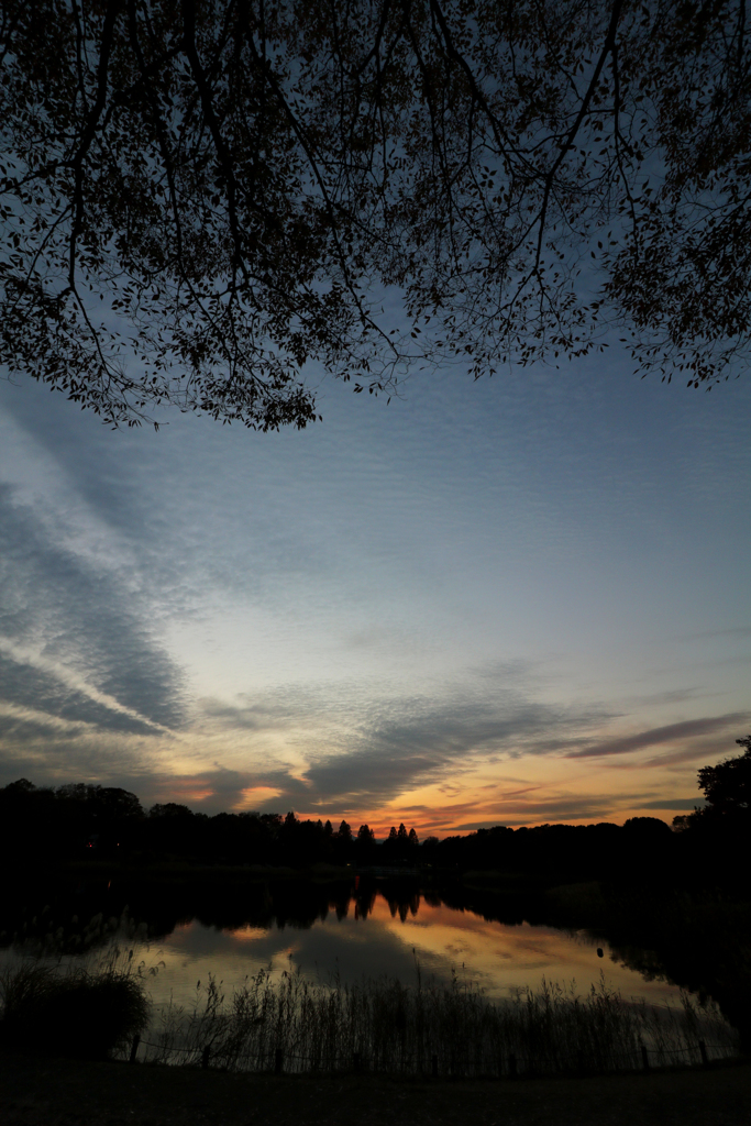 夕焼け