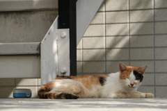 いつでも変わらず