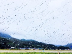 雨の中