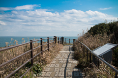 海へと続く道