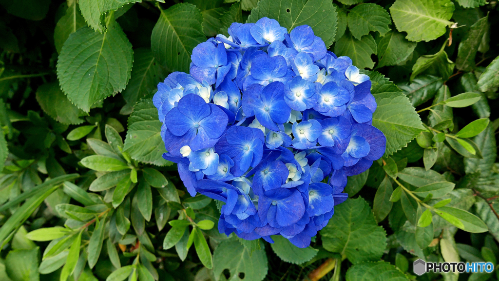 梅雨晴れ１