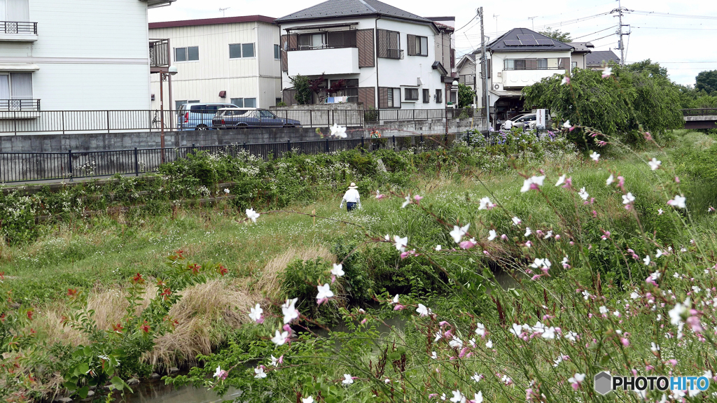 梅雨の晴れ間にー１