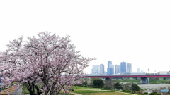川崎方面