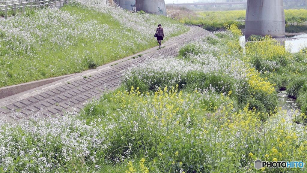 多摩川女子