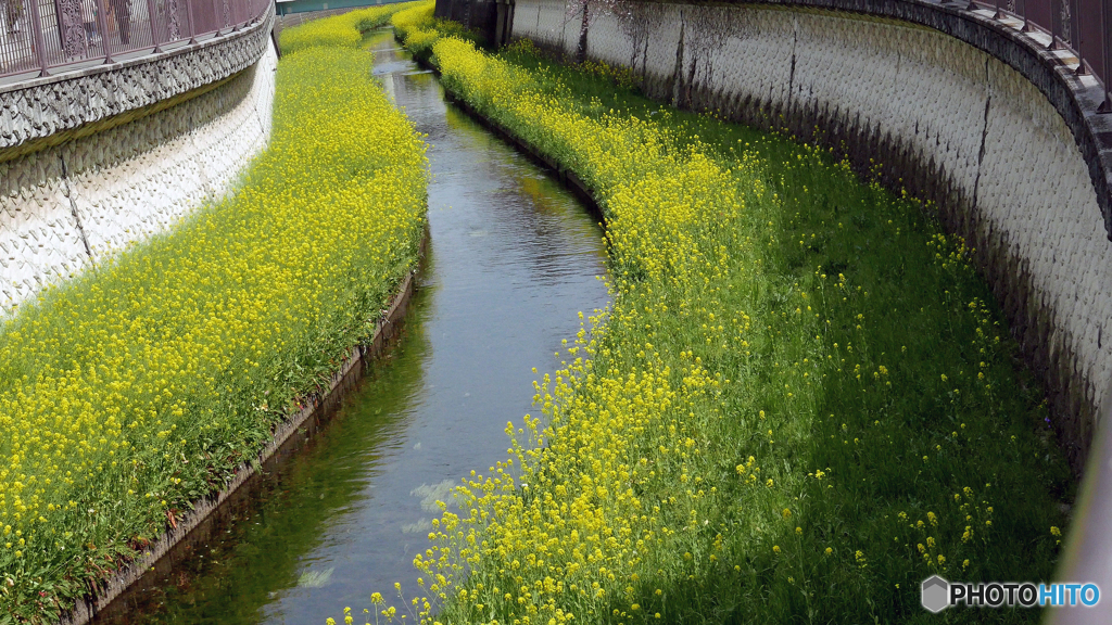 仙川