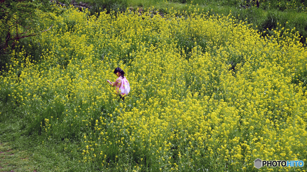 花の耳飾り