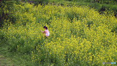 花の耳飾り