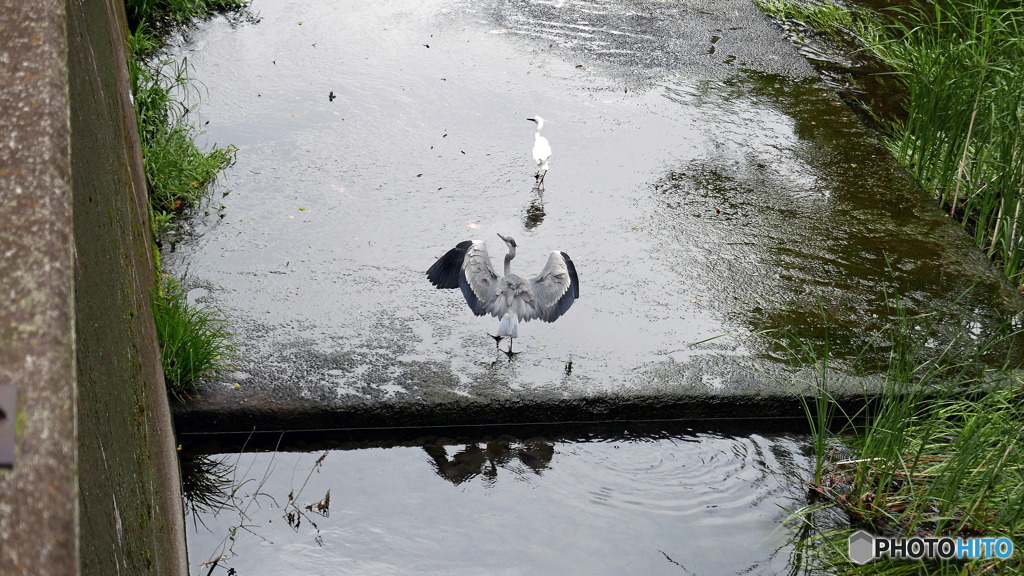 雨上がり　３