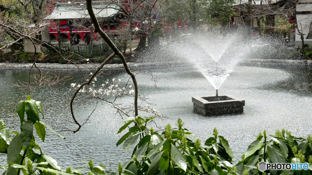 井之頭池