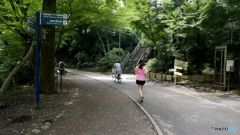 夏前５