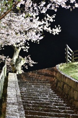 "rainy stairs"