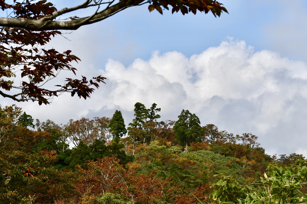 〜above the clouds〜fall