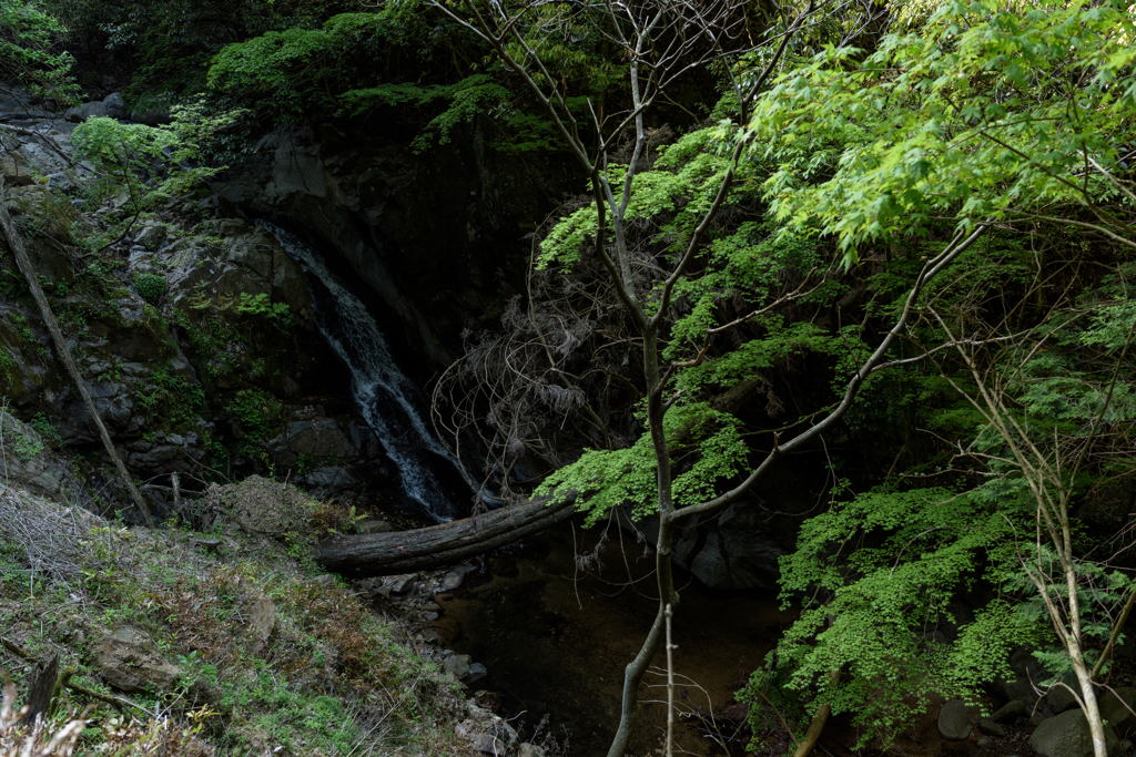 山道の途中で