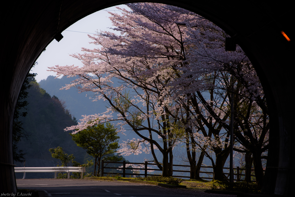 トンネルを抜けると、そこは…