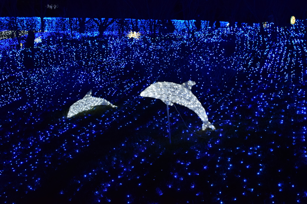 相模湖イルミリオン
