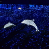 相模湖イルミリオン